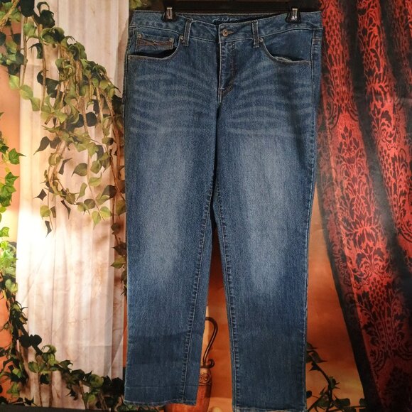 EUC: Faded Glory Sze 18A Blue Classic Straight Leg Jeans Comfortable Stretch - Picture 1 of 3